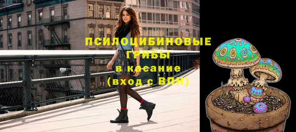 а пвп мука Абаза