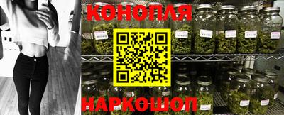 стафф Анапа