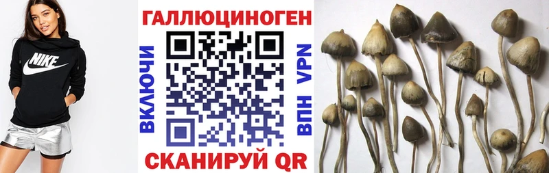 гидра онион  Кинешма  Псилоцибиновые грибы MAGIC MUSHROOMS 